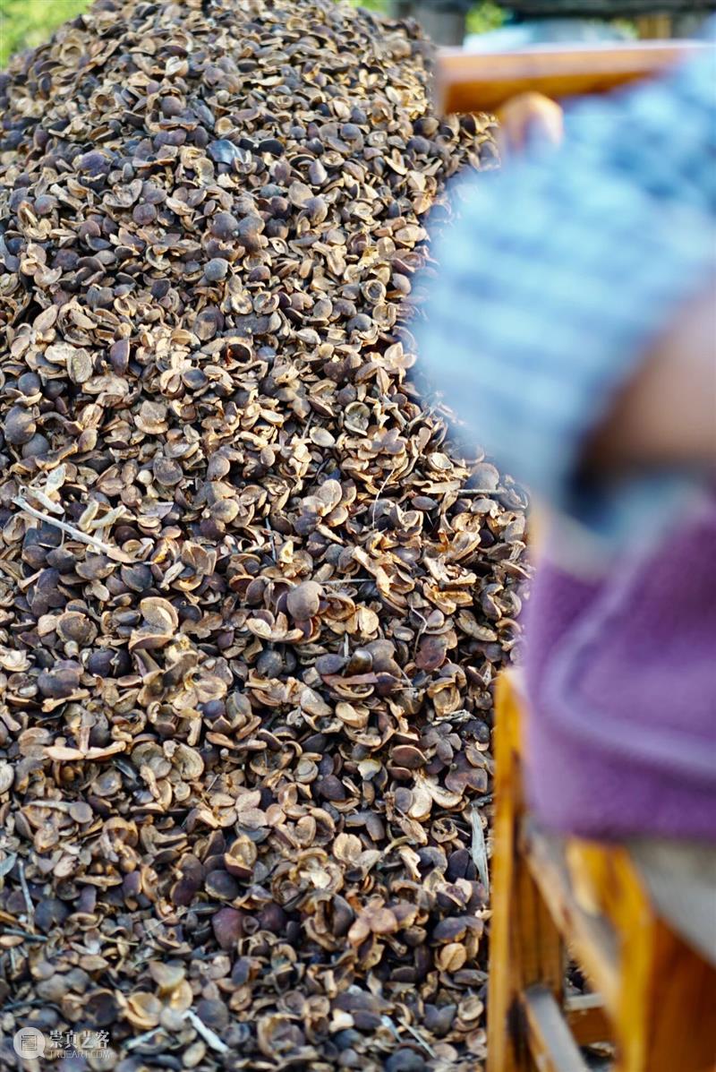 寒溪村秋语过半，共酿冬日！ 崇真艺客