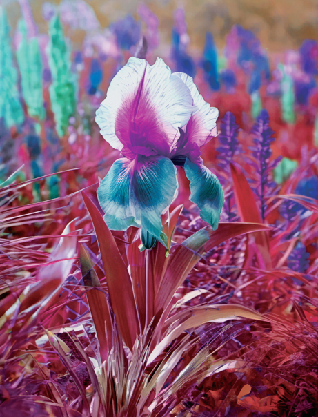 上海双年展开幕活动 |夸特莫克·梅迪纳、埃马努埃莱·科恰重磅开讲！ “游戏”和“花儿”如何改变我们感知世界的方式？ 崇真艺客