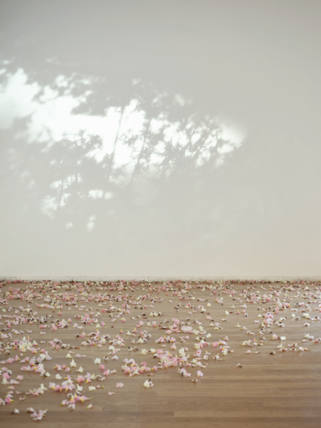 上海双年展开幕活动 |夸特莫克·梅迪纳、埃马努埃莱·科恰重磅开讲！ “游戏”和“花儿”如何改变我们感知世界的方式？ 崇真艺客