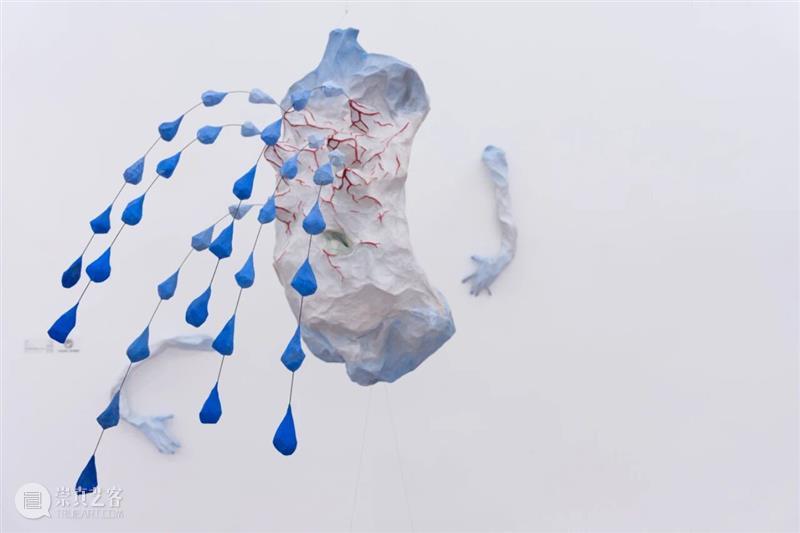 「女性艺术家访谈」刘佳伶：我相信，我是一只有力量的自由鸟 崇真艺客