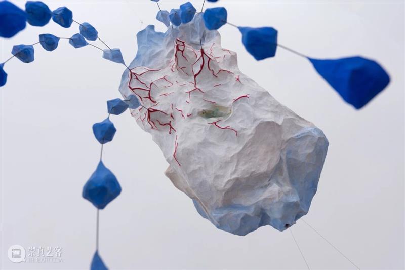 「女性艺术家访谈」刘佳伶：我相信，我是一只有力量的自由鸟 崇真艺客