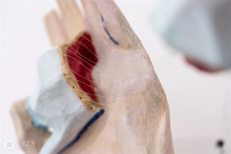 「女性艺术家访谈」刘佳伶：我相信，我是一只有力量的自由鸟 崇真艺客