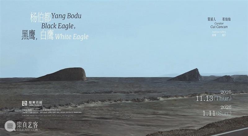 藝術家News｜楊伯都｜黑鷹，白鷹—龍美術館 崇真艺客