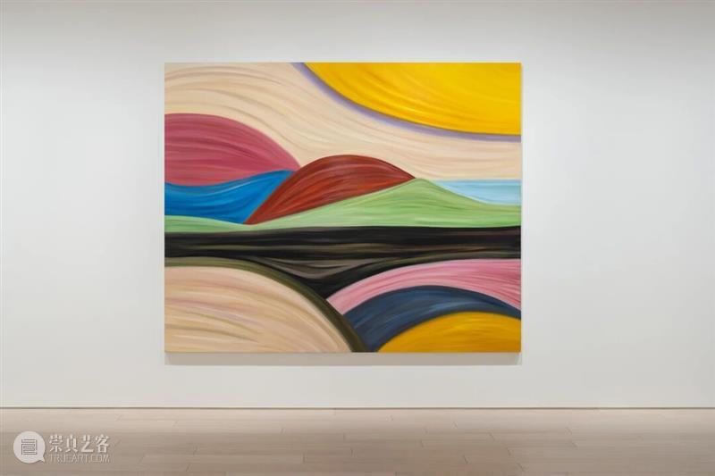 东京现场｜流动的风景：玛丽娜·佩雷斯·西芒与大竹富江的跨世代对话 崇真艺客