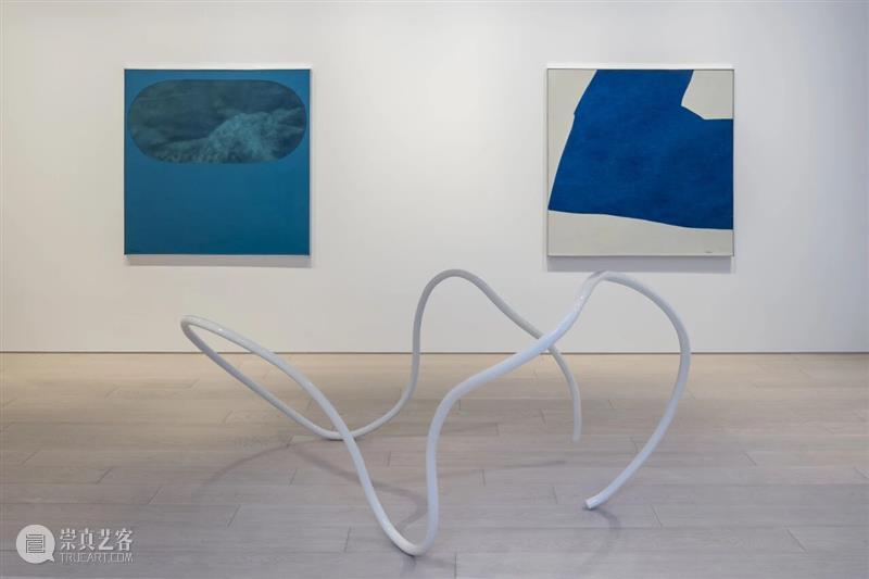 东京现场｜流动的风景：玛丽娜·佩雷斯·西芒与大竹富江的跨世代对话 崇真艺客