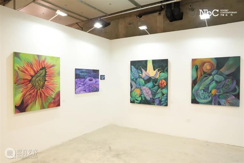 第二届宁波当代国际画廊周（NbC 2025） 打造兼具学术深度与大众参与感的艺术盛会 热点聚焦  第二届宁波当代国际画廊周 NbC 2025 崇真艺客