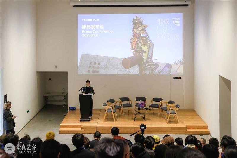 欢迎来到纠缠的混沌剧场——“混成：王郁洋个展”今日开启 崇真艺客