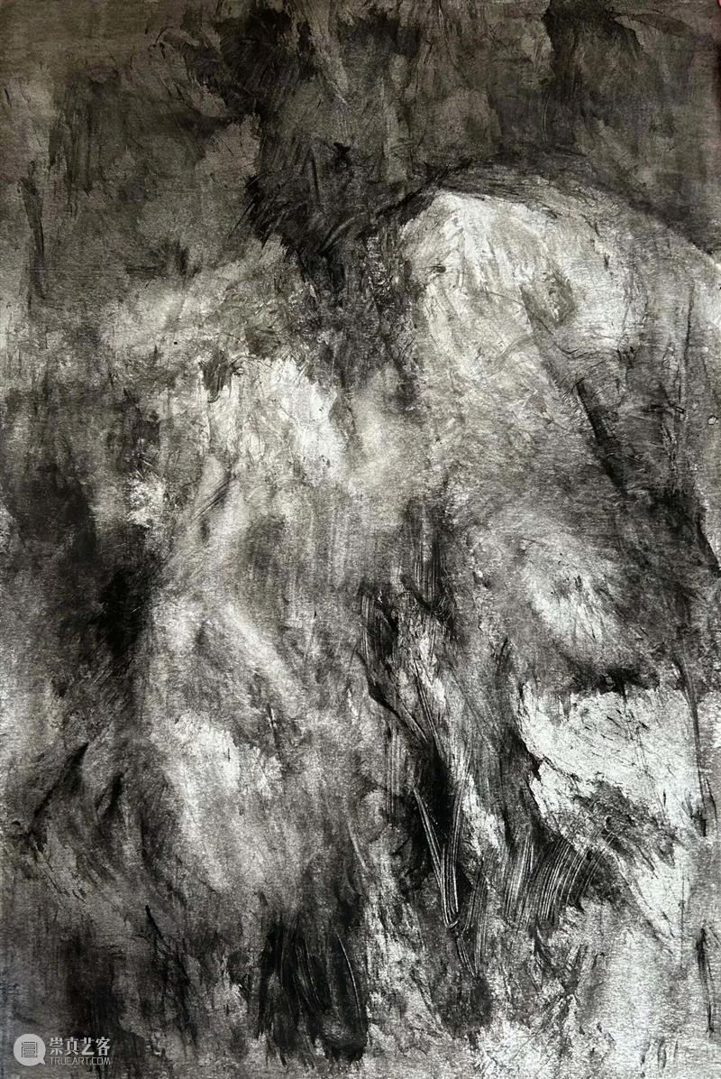 画廊单元亮点作品 Highlight Artworks:N-S 崇真艺客