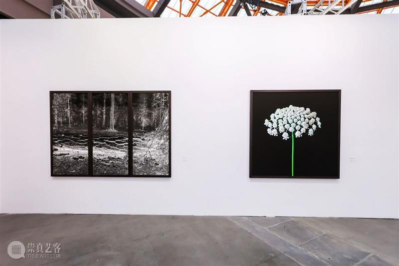 流转·自然：本能与记忆的影像交汇——巴利阿里群岛与中国的摄影对话 热点聚焦  上海西班牙文化中心 塞万提斯学院 巴利阿里群岛与中国的摄影对 崇真艺客