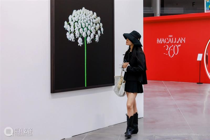 流转·自然：本能与记忆的影像交汇——巴利阿里群岛与中国的摄影对话 热点聚焦  上海西班牙文化中心 塞万提斯学院 巴利阿里群岛与中国的摄影对 崇真艺客