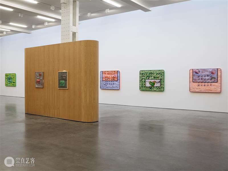 正在展出 | 里森纽约 | 徐梯善 (Tishan Hsu) 个展「emergence」 崇真艺客