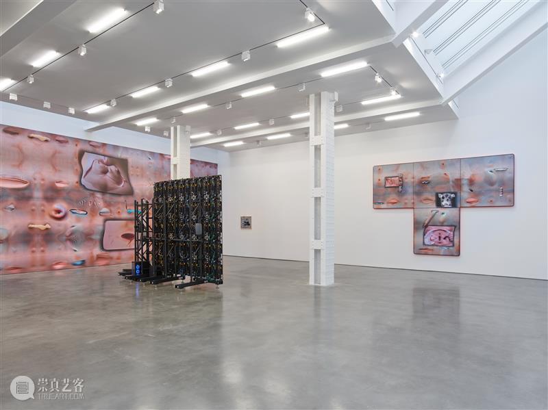 正在展出 | 里森纽约 | 徐梯善 (Tishan Hsu) 个展「emergence」 崇真艺客