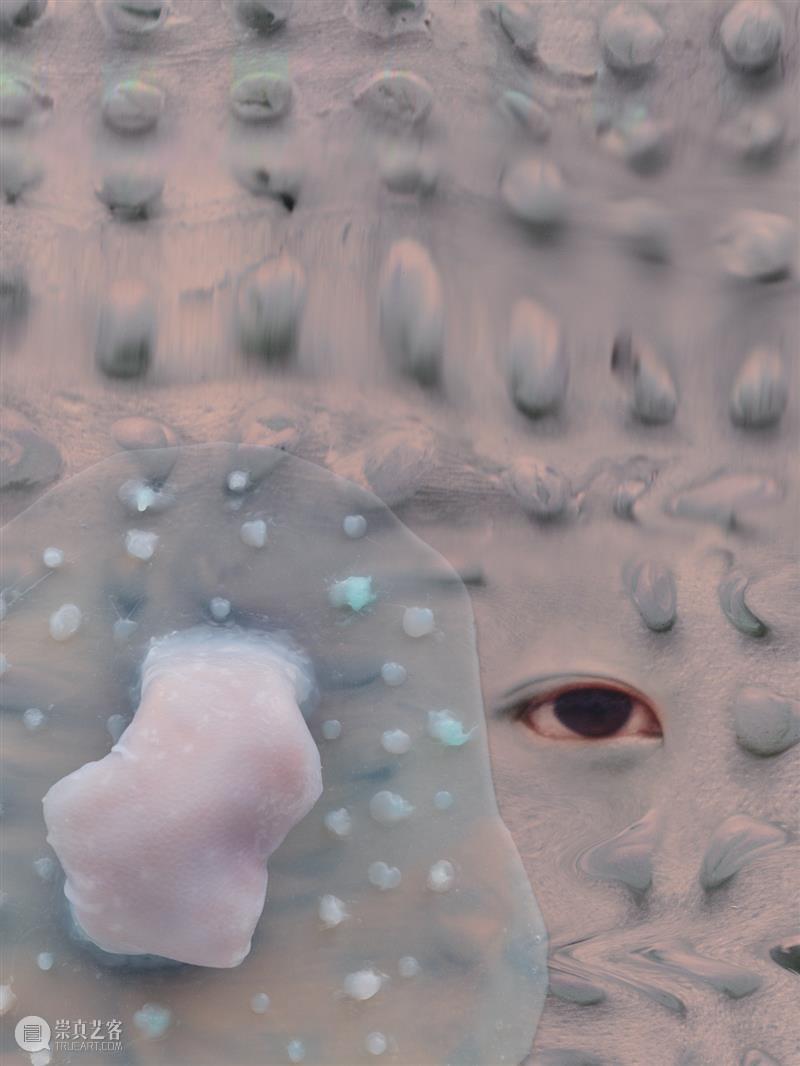 正在展出 | 里森纽约 | 徐梯善 (Tishan Hsu) 个展「emergence」 崇真艺客