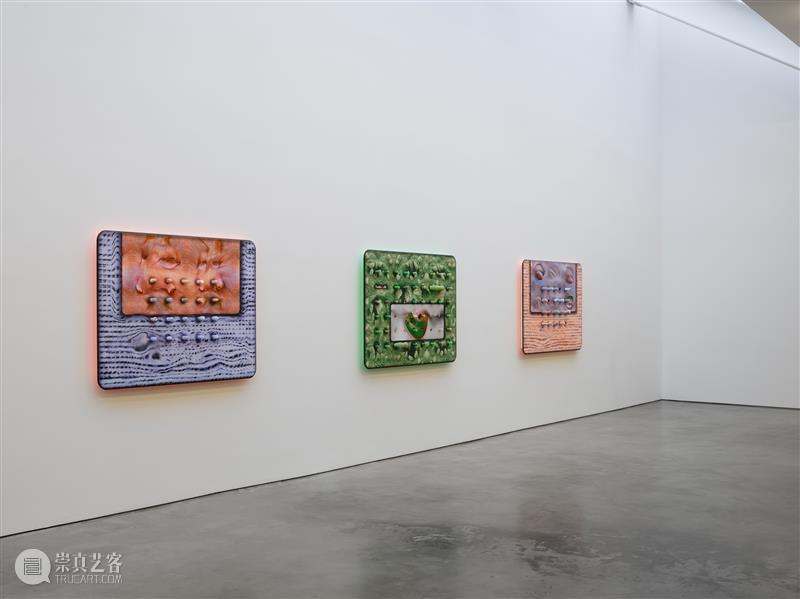 正在展出 | 里森纽约 | 徐梯善 (Tishan Hsu) 个展「emergence」 崇真艺客