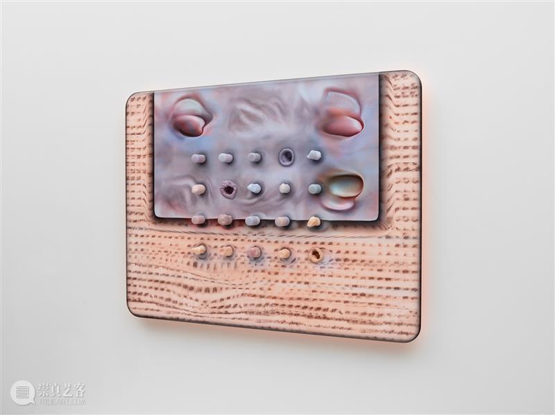 正在展出 | 里森纽约 | 徐梯善 (Tishan Hsu) 个展「emergence」 崇真艺客