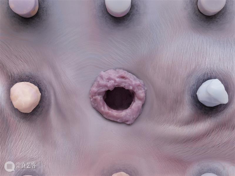 正在展出 | 里森纽约 | 徐梯善 (Tishan Hsu) 个展「emergence」 崇真艺客