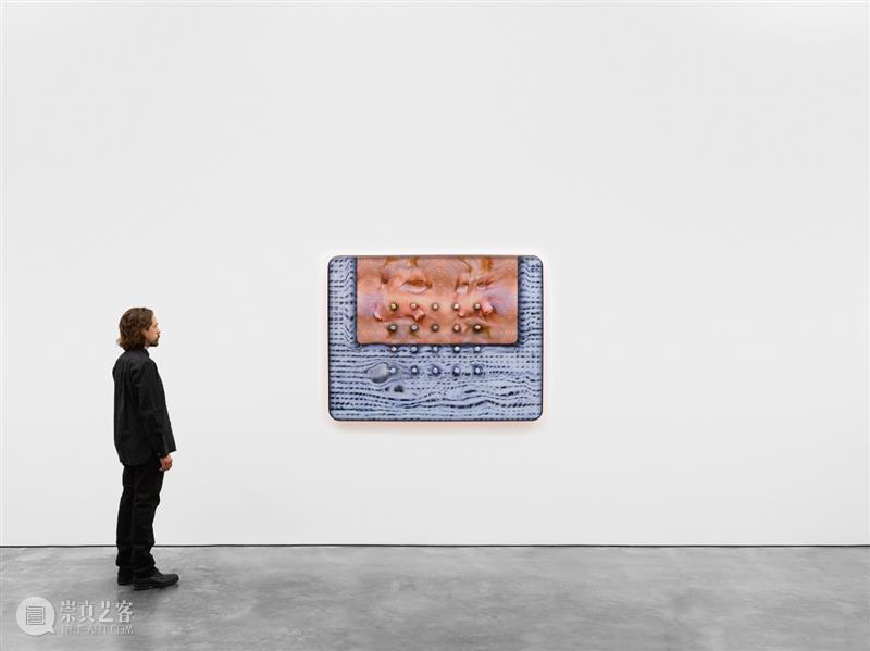 正在展出 | 里森纽约 | 徐梯善 (Tishan Hsu) 个展「emergence」 崇真艺客