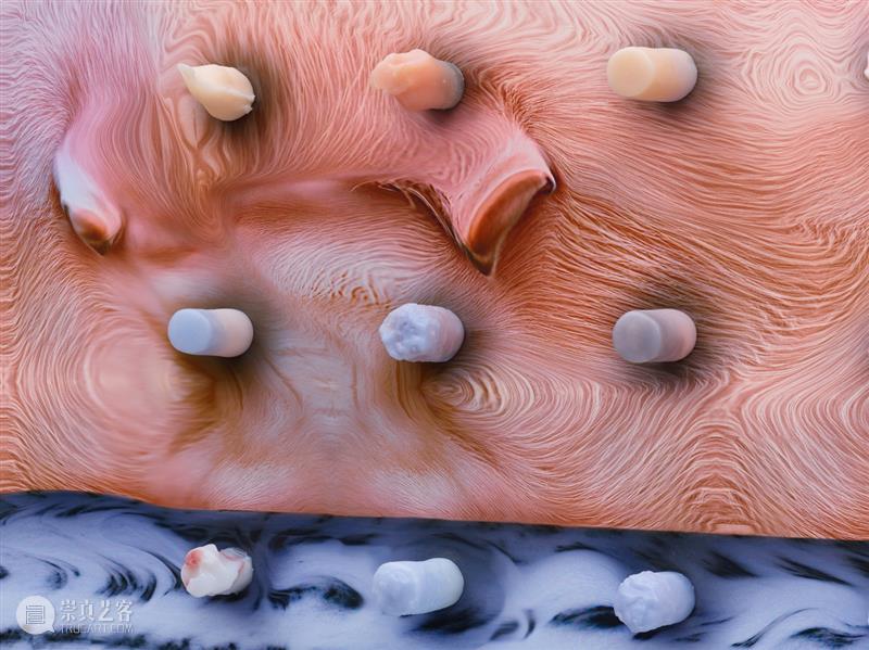 正在展出 | 里森纽约 | 徐梯善 (Tishan Hsu) 个展「emergence」 崇真艺客