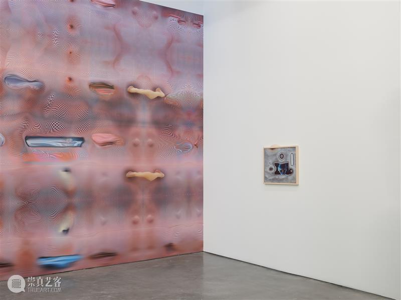 正在展出 | 里森纽约 | 徐梯善 (Tishan Hsu) 个展「emergence」 崇真艺客