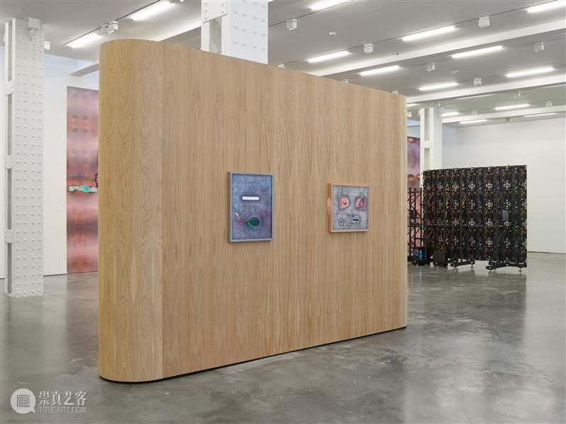 正在展出 | 里森纽约 | 徐梯善 (Tishan Hsu) 个展「emergence」 崇真艺客