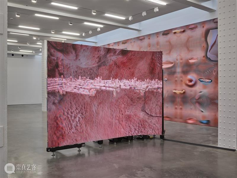 正在展出 | 里森纽约 | 徐梯善 (Tishan Hsu) 个展「emergence」 崇真艺客