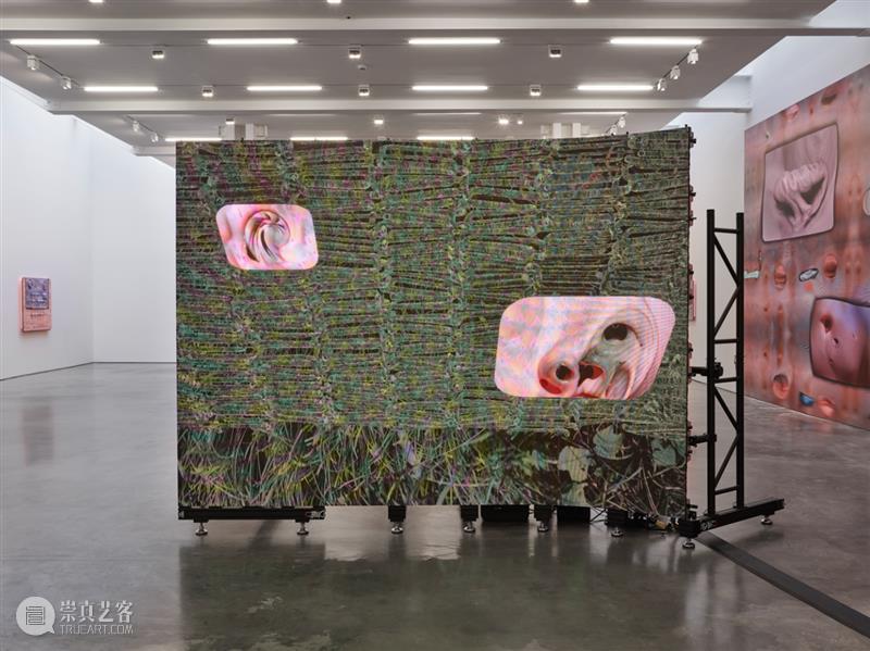 正在展出 | 里森纽约 | 徐梯善 (Tishan Hsu) 个展「emergence」 崇真艺客