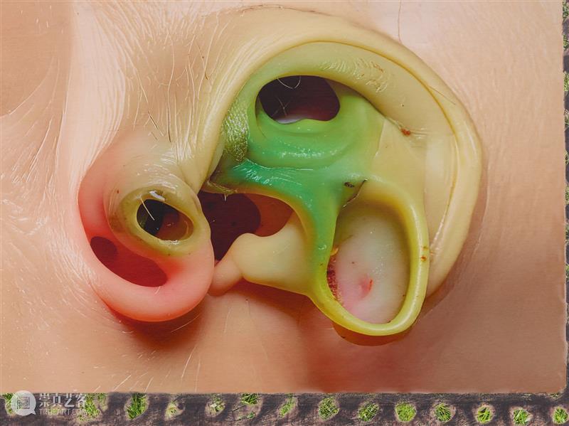 正在展出 | 里森纽约 | 徐梯善 (Tishan Hsu) 个展「emergence」 崇真艺客