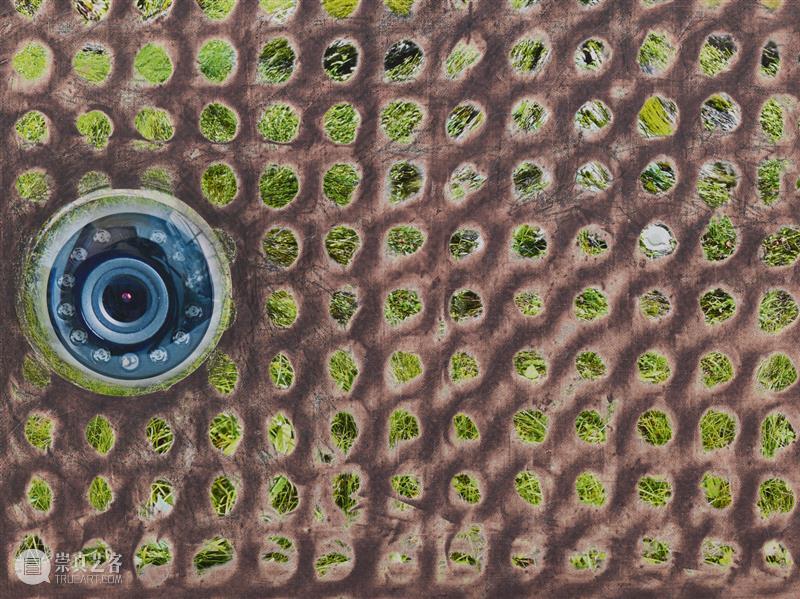 正在展出 | 里森纽约 | 徐梯善 (Tishan Hsu) 个展「emergence」 崇真艺客