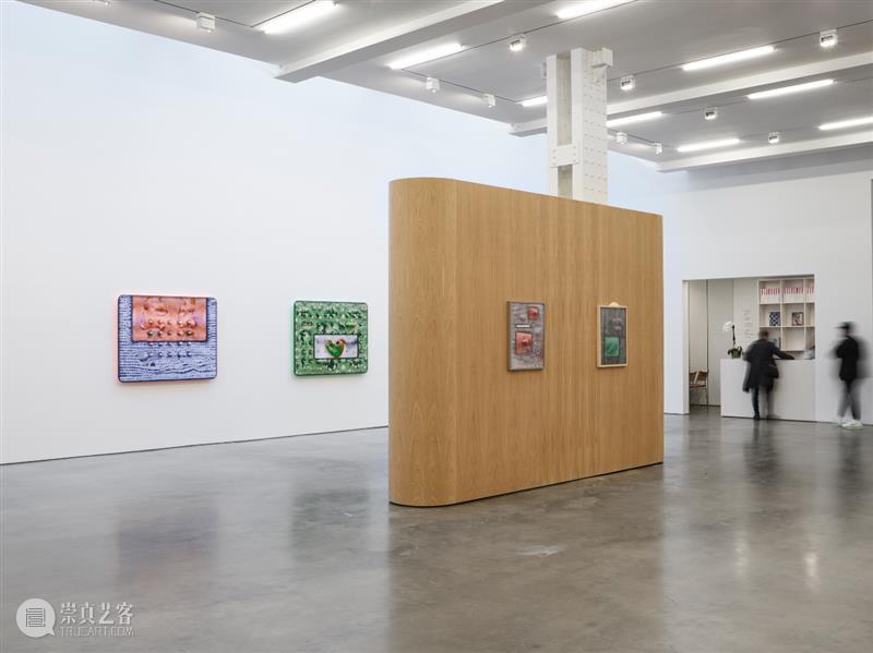 正在展出 | 里森纽约 | 徐梯善 (Tishan Hsu) 个展「emergence」 崇真艺客