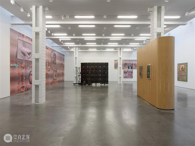 正在展出 | 里森纽约 | 徐梯善 (Tishan Hsu) 个展「emergence」 崇真艺客