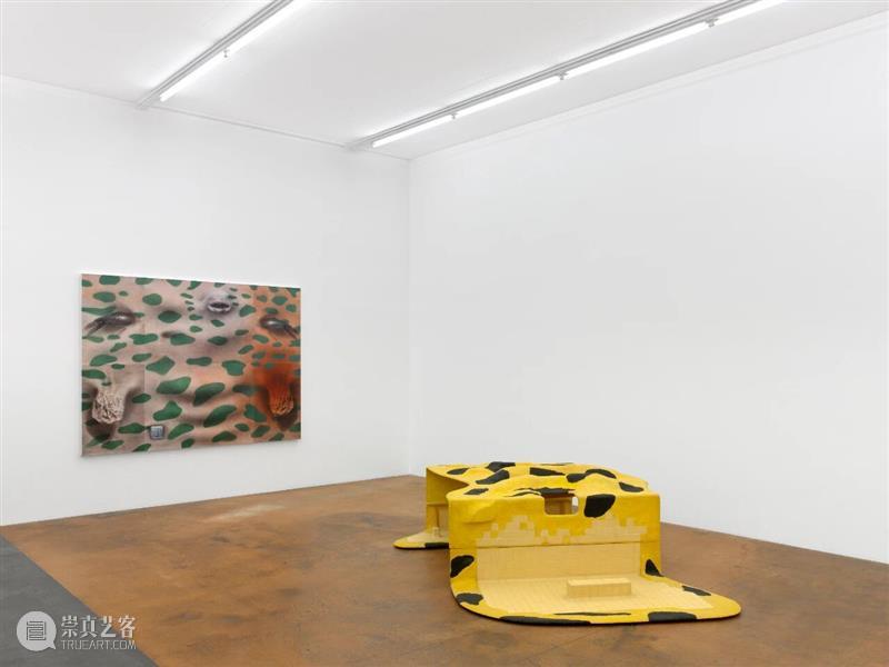 正在展出 | 里森纽约 | 徐梯善 (Tishan Hsu) 个展「emergence」 崇真艺客