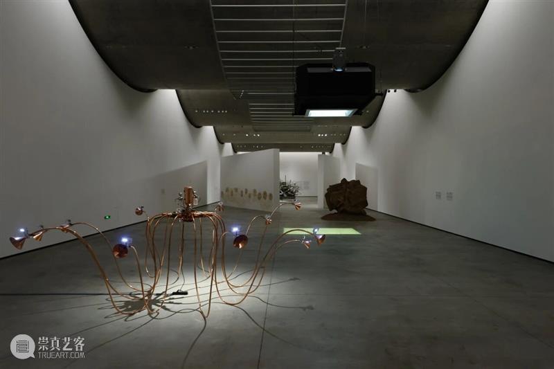 很多人已领取！混成剧场隐藏福利 崇真艺客