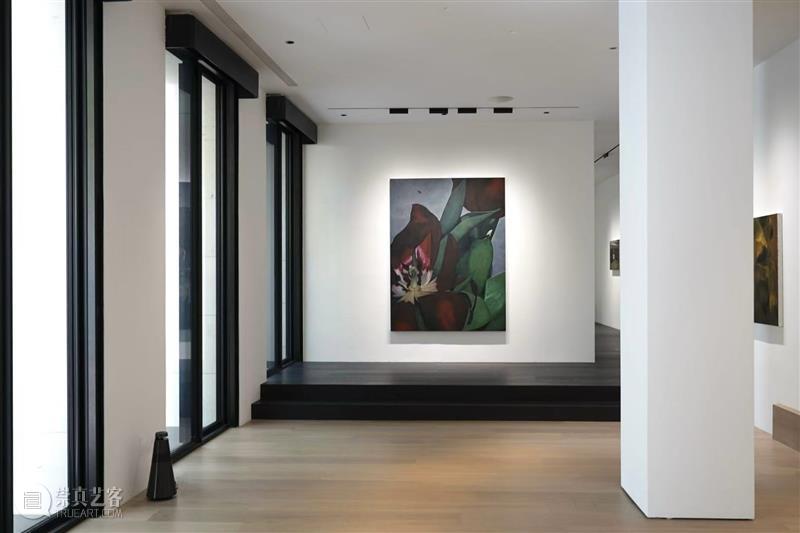 「VV Art Salon 艺术会客厅」呈现双展《绝对抽象》与《似是而是》 热点聚焦  崇真艺客