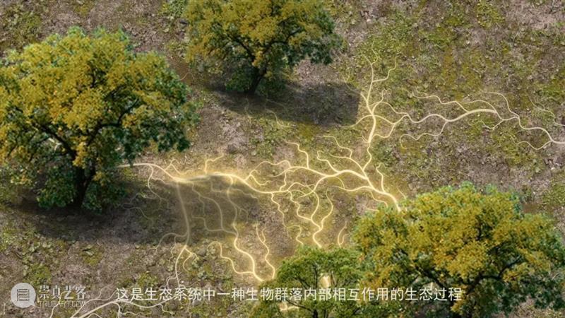 新展 | “小径分叉的花园” & 镜像世界：机器、算法和灵韵 崇真艺客