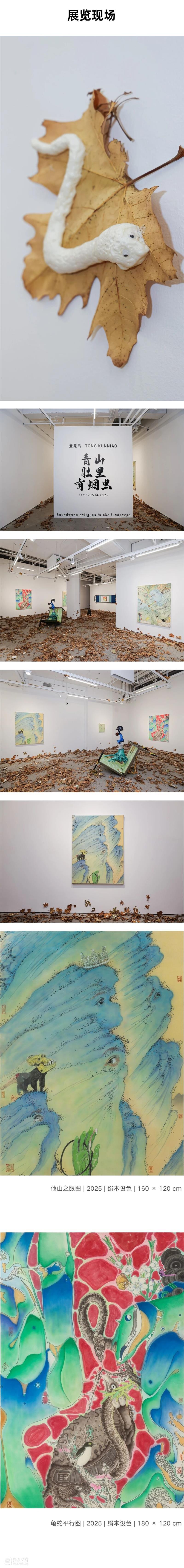 偏锋 展览 | 「青山肚里有蛔虫」童昆鸟个展 崇真艺客