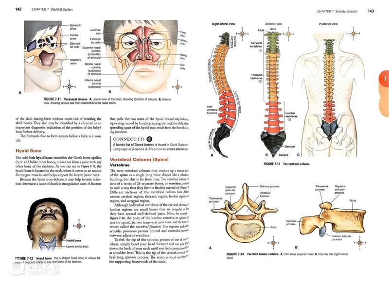 ASE荐书|展览特别呈现:医学档案单元书籍特辑(一) 崇真艺客