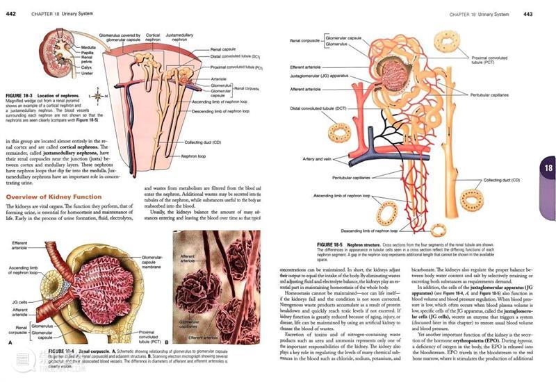 ASE荐书|展览特别呈现:医学档案单元书籍特辑(一) 崇真艺客