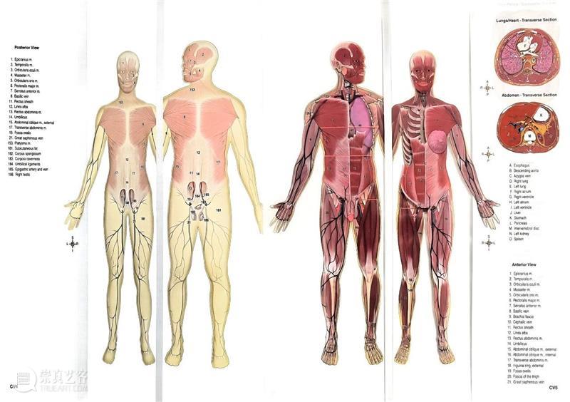 ASE荐书|展览特别呈现:医学档案单元书籍特辑(一) 崇真艺客
