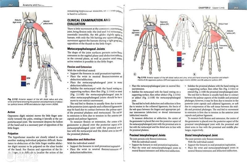 ASE荐书|展览特别呈现:医学档案单元书籍特辑(一) 崇真艺客