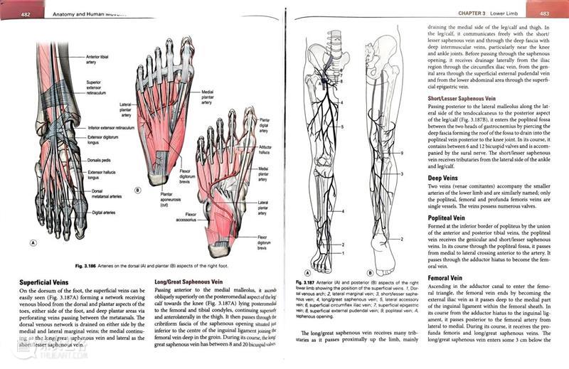 ASE荐书|展览特别呈现:医学档案单元书籍特辑(一) 崇真艺客