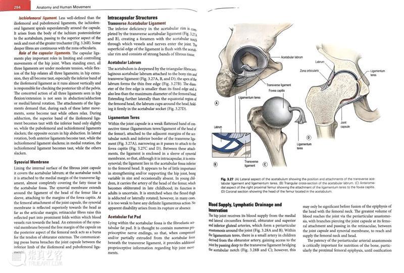 ASE荐书|展览特别呈现:医学档案单元书籍特辑(一) 崇真艺客