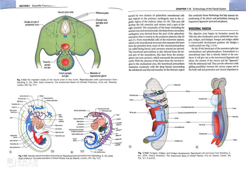 ASE荐书|展览特别呈现:医学档案单元书籍特辑(一) 崇真艺客