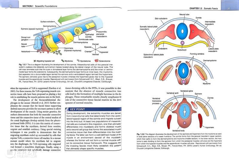 ASE荐书|展览特别呈现:医学档案单元书籍特辑(一) 崇真艺客