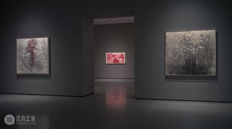 彭康隆广东美术馆个展“山花迷人眼” 重构水墨的视觉经验 热点聚焦  彭康隆 当代水墨艺术家 广东美术馆 山花迷人眼 崇真艺客