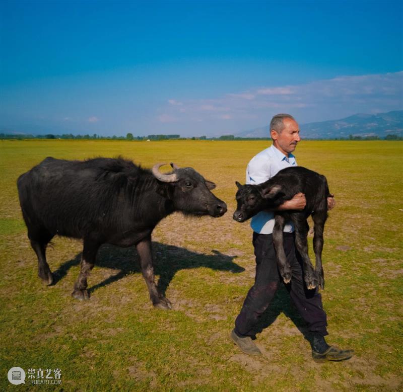 UCCA Lab丨2025华为影像大赛颁奖盛典暨年度影像展亮相巴黎大皇宫 崇真艺客