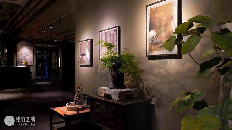 展讯｜松风和月白【写生宋画】黄大有纸上作品展 崇真艺客