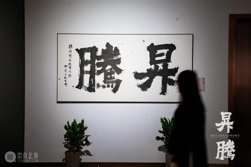 笔墨归乡 精神升腾：赵冷月书法作品捐赠回顾展亮相嘉兴博物馆 热点聚焦  赵冷月书法作品捐赠回顾展 嘉兴博物馆 崇真艺客