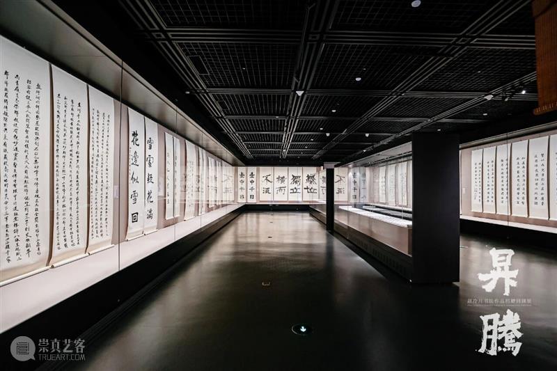 笔墨归乡 精神升腾：赵冷月书法作品捐赠回顾展亮相嘉兴博物馆 热点聚焦  赵冷月书法作品捐赠回顾展 嘉兴博物馆 崇真艺客