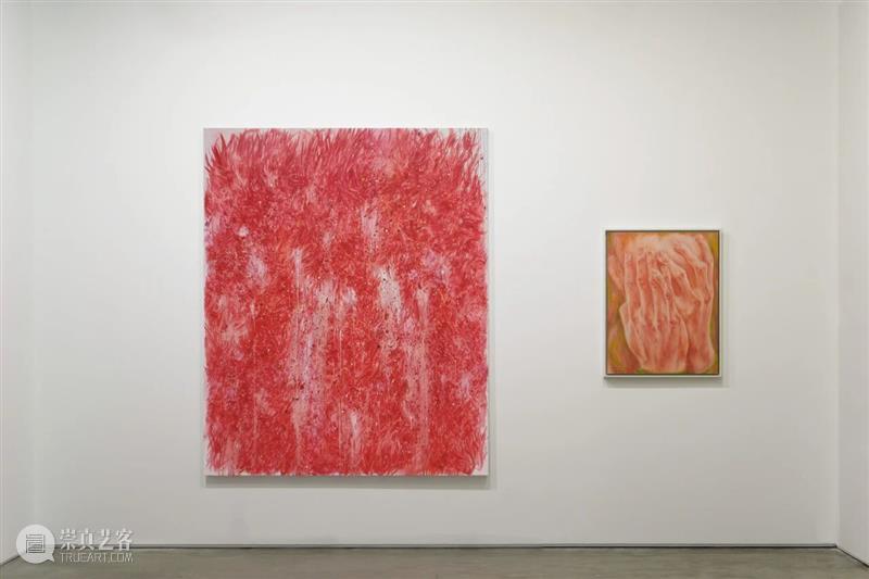 新氧艺O2art | 彭斯个人项目「冷火焰」| 2025 西岸艺术与设计博览会 | 现场回顾 崇真艺客