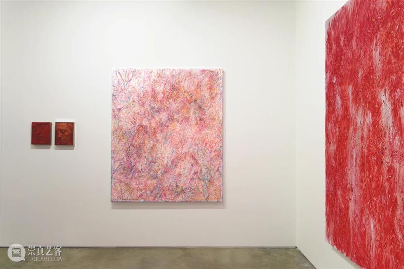 新氧艺O2art | 彭斯个人项目「冷火焰」| 2025 西岸艺术与设计博览会 | 现场回顾 崇真艺客